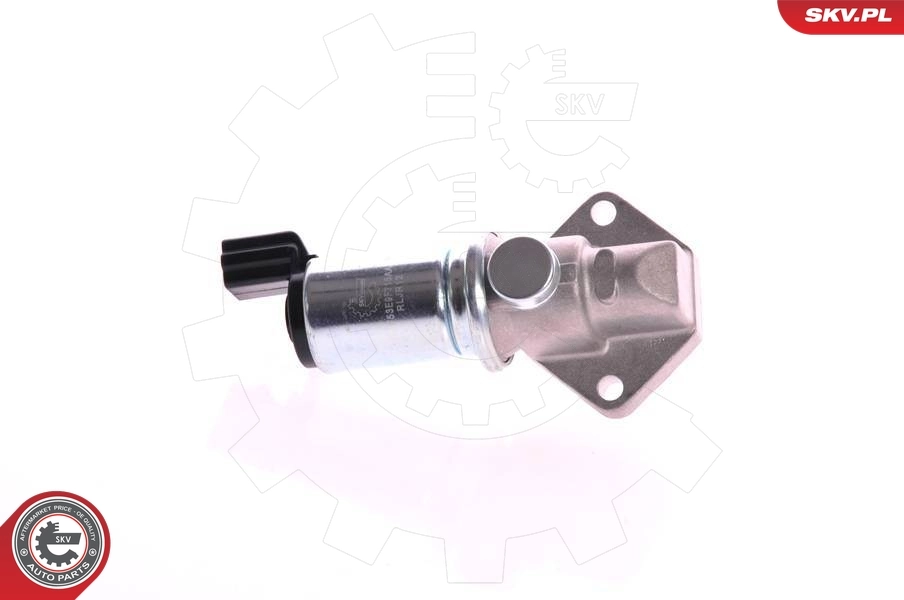 Idle Control Valve, air supply